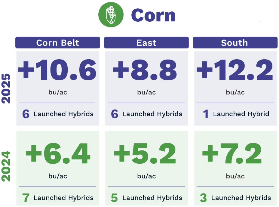 corn